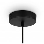 Подвесной светильник Maytoni MOD193PL-01W Roots