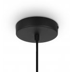 Подвесной светильник Maytoni MOD194PL-01W Roots