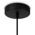 Подвесной светильник Maytoni MOD195PL-01W1 Roots