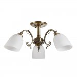 Потолочная люстра Biene MR1522-3C