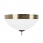 Потолочный светильник Biene MR1527-3C