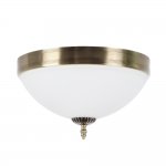 Потолочный светильник Biene MR1527-3C