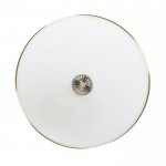 Потолочный светильник Biene MR1528-4C