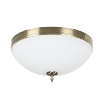 Потолочный светильник Biene MR1528-4C