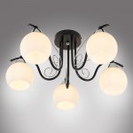 Потолочная люстра Daniella MR1570-5C MyFar