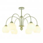 Потолочная люстра Flora MR2271-6C