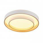 Потолочный светильник Rhea MR9161-CL