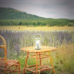 Переносной светильник Novotech 357434 TRIP