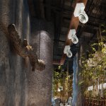 Накладной светодиодный светильник Novotech 357560 SNAIL