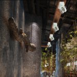 Накладной светодиодный светильник Novotech 357561 SNAIL