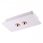 Накладной светодиодный светильник Novotech 357939 CARO