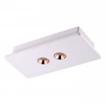 Накладной светодиодный светильник Novotech 357939 CARO