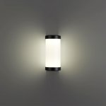 Светильник ландшафтный настенный светодиодный Novotech 359300 OPAL