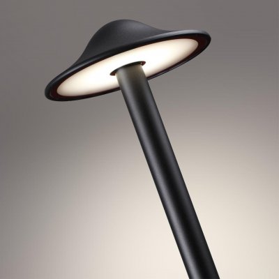 Светильник ландшафтный светодиодный Novotech 359302 FUNG