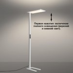 _ Novotech 359545 STUDI
