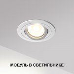 359812 DIOD NT25 484 черный Модуль светодиодный в комплекте с драйвером IP20 LED 10W 4000К 180-265V MOD