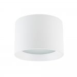 Потолочный cветильник Nowodvorski Maun White (Cерия Maun, Цвет Белый) арт. 10481