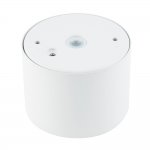 Потолочный cветильник Nowodvorski Bol White (Cерия Bol, Цвет Белый) арт. 10483