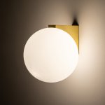 Настенный светильник Nowodvorski Aloe Brass (Cерия Aloe, Цвет Латунь) арт. 10525