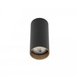 Потолочный cветильник Nowodvorski Mono S Black/Brass (Cерия Mono S, Цвет Черный/Латунь) арт. 10779