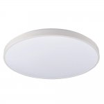 Потолочный cветильник Nowodvorski Agnes Round Led Pro White (Cерия Agnes Led Pro, Модель круглая, Цвет Белый) арт. 10979