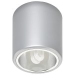 Светильник потолочный Nowodvorski DOWNLIGHT SILVER M 4868