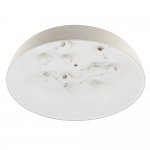 Потолочный cветильник Nowodvorski Satellite L Gray (Cерия Satellite L, Цвет Серый) арт. 8023