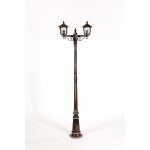 Светильник столб уличный 2 фонаря Oasis Light 15909A Gb