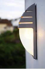 Светильник настенный Oasis Light 1836