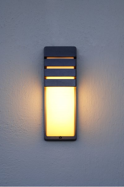 Светильник настенный Oasis Light 1836