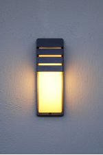 Светильник настенный Oasis Light 1836