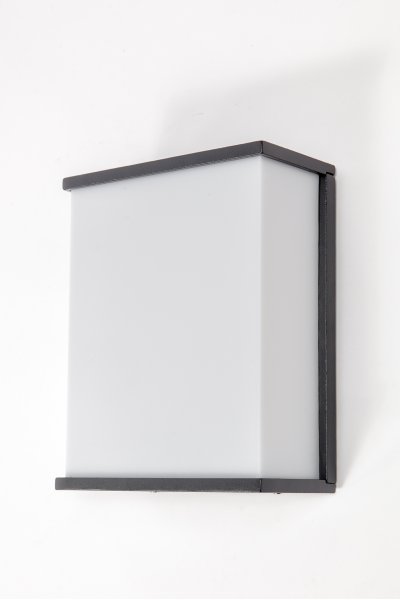 Светильник настенный Oasis Light 1843 Светильник настенный Oasis Light 1843