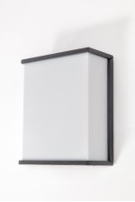 Светильник настенный Oasis Light 1843