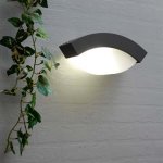 Светильник настенный Oasis Light 2146