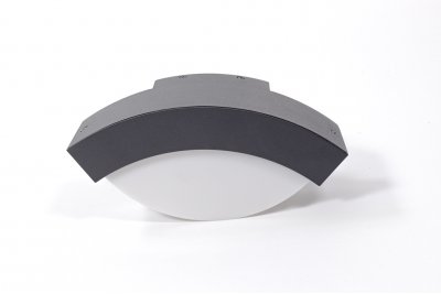 Светильник настенный Oasis Light 2146