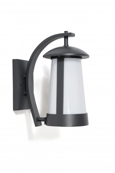 Светильник настенный  Oasis Light 2501