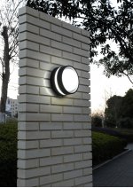 Светильник настенно-потолочный Oasis Light 3351S