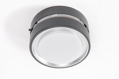 Светильник настенно-потолочный Oasis Light 3351S Светильник настенно-потолочный Oasis Light 3351S