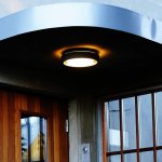 Светильник настенно-потолочный Oasis Light 3351