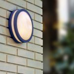 Светильник настенно-потолочный Oasis Light 3362