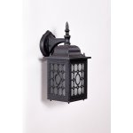 Светильник настенный Oasis Light 64802S Bl