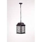 Светильник подвесной Oasis Light 64805L R