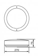 Светильник настенно-потолочный Oasis Light 77808