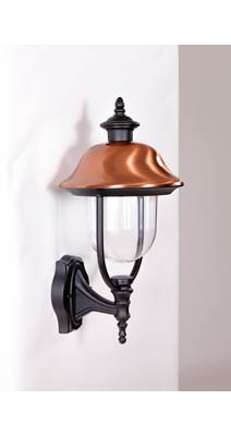 Светильник настенный Oasis Light 84301c Bl