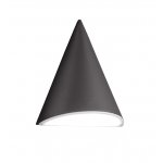 Светильник настенный Oasis Light 91430 Bl