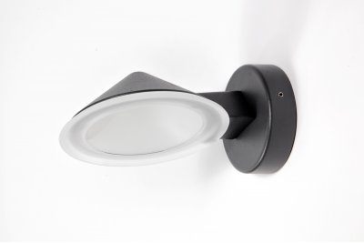 Светильник настенный Oasis Light W1876