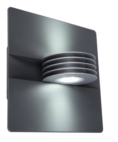 Светильник настенный Oasis Light W1879