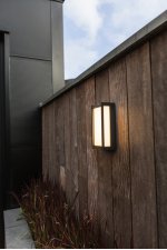 Светильник настенный Oasis Light W1930-3К