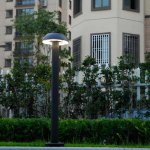 Светильник столб уличный Oasis Light W2252S-800