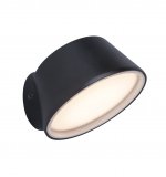 Светильник настенный Oasis Light W2886